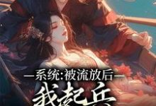 系统:被流放后,我起兵夺走皇位小说有没有完结版在线?-书格格