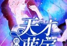 免费阅读苏橙冷冥为主角的小说,天才萌宝俏妈咪在线看-书格格