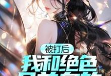 被打后,我和绝色且单身的太太和解了小说,被打后,我和绝色且单身的太太和解了藤原松-书格格