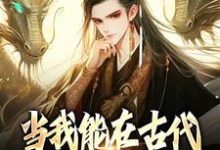 当我能在古代和末世来回穿越小说，当我能在古代和末世来回穿越在线阅读-书格格