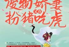 已完结小说《战王接嫁：废物娇妻又在扮猪吃虎》章节免费阅读-书格格