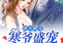 完结版《逆天萌宝:寒爷盛宠神秘甜妻》章节阅读-书格格
