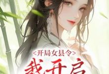 开局女县令,我开启基建之旅小说免费资源,开局女县令,我开启基建之旅在线阅读-书格格