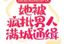 揣崽跑路那夜,她被疯批男人满城通缉齐夏赫连城小说在线章节免费阅读-书格格