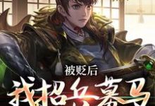 主角 朱文杨英小说完结版在线阅读,被贬后,我招兵募马八十万免费看-书格格