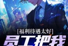 完结版《福利待遇太好,员工把我捧成首富》章节目录在线阅读-书格格