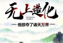无上造化:他掠夺了诸天万界小说最新更新在哪里?免费在线看-书格格