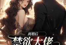 离婚后，禁欲大佬求我跟他回家小说，离婚后，禁欲大佬求我跟他回家免费阅读-书格格