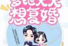 萌宝闹翻天:爹地天天想复婚小说最新更新在哪里?免费在线看-书格格