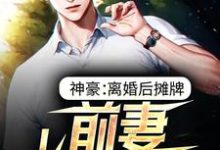 完结版《神豪:离婚后摊牌,前妻悔不当初》章节阅读-书格格