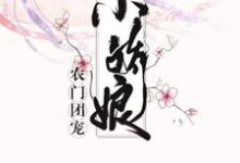 哪里能找到农门团宠小娇娘小说的全部章节?-书格格