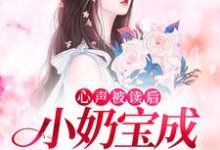 《心声被读后,小奶宝成全家宠儿》小说主角苏沐沐其他章节章节免费在线阅读-书格格