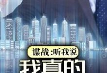 谍战:听我说,我真的是友军小说免费资源,谍战:听我说,我真的是友军在线阅读-书格格