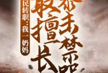 全民转职:我一奶妈,最擅长暴击禁咒这本小说完结了吗?免费查看最新章节-书格格
