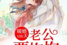 宁肖然顾淮宁宁筱安陆向北为主角的小说好看吗?免费读暖婚100天:老公要抱抱-书格格