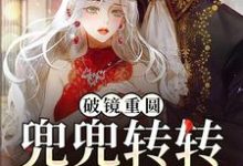 杨晓薇李理小说叫什么(破镜重圆:兜兜转转还是你免费阅读)-书格格