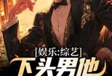 娱乐:综艺下头男他玩转娱乐圈苏辰刘天仙小说大结局免费试读-书格格