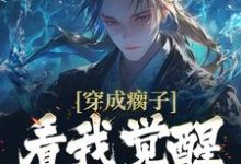 穿成瘸子,看我觉醒逆天属性这本小说在哪里可以看?哪里有免费试读章节?-书格格