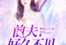小说《前夫,好久不见》章节免费阅读-书格格