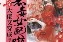 免费在线阅读快穿:大佬又穿成恶毒女配啦!小说的正规网站有哪些?-书格格