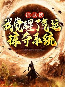 综武侠：我觉醒了气运掠夺系统章节免费在线阅读，龙云黄蓉完结版
