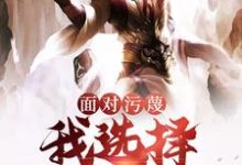 陆沉叶漓的小说在哪里看?免费在线阅读面对污蔑,我选择贴脸开大-书格格
