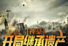 完结版《神豪:开局继承遗产,走向人生巅峰》章节阅读-书格格