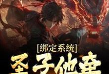 《绑定系统:圣子他牵着女主走》小说章节列表免费试读,秦渊小说在线阅读-书格格