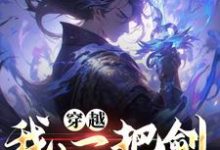 穿越:我,一把剑,天下无敌章节免费在线阅读,赵棂羽完结版-书格格