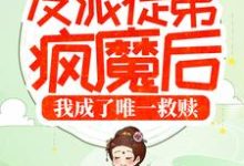 哪里能找到反派徒弟疯魔后,我成了唯一救赎小说的全部章节?-书格格