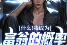 什么!我成为富翁的概率是百分之百小说完结了吗?在哪里可以免费读到?-书格格