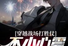 夏禹是哪本书的主角?寻找穿越战场打胜仗,不小心震惊全网了免费阅读-书格格