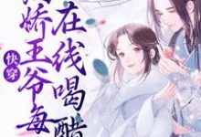 快穿:病娇王爷每天在线喝醋小说的免费电子版在哪里可以下载或阅读?-书格格