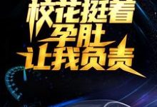 被分手后,校花挺着孕肚让我负责小说的最新章节在哪里更新?免费追踪阅读-书格格