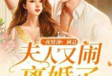 一夜情深:顾总,夫人又闹离婚了小说的所有章节都能在哪里免费读到?-书格格