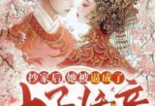 抄家后,她被逼成了太子娇妾小说全文阅读需要付费吗?寻找免费资源-书格格