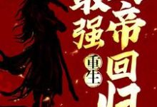 重生:最强天帝回归免费阅读,重生:最强天帝回归章节在线阅读-书格格