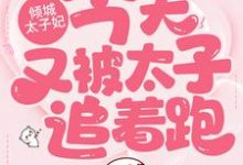 免费看倾城太子妃:今天又被太子追着跑小说的网站有哪些?-书格格
