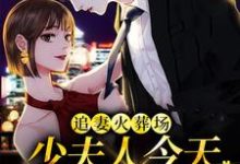 小说《追妻火葬场:少夫人今天又硬气了》章节免费阅读-书格格