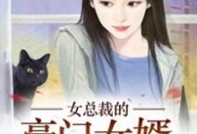 在线寻找杨辰林艳的小说，女总裁的豪门女婿免费阅读-书格格
