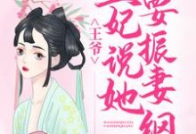 龙卿若东方境为主角的小说好看吗?免费读王爷,王妃说她要振妻纲-书格格