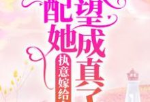 执意嫁给乡里汉,女配她愿望成真了阮念念江燃小说大结局免费试读-书格格
