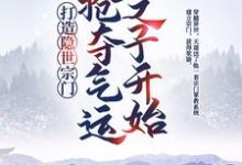 打造隐世宗门:从抢夺气运之子开始(江北辰陈黑炭)在线免费阅读-书格格