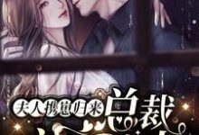 在线搜索林不念霍祁深的完整小说,免费阅读夫人携崽归来,总裁夜夜追妻-书格格