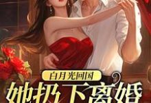 白月光回国，她扔下离婚协议离开最新章节，白月光回国，她扔下离婚协议离开免费阅读-书格格