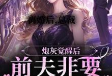 离婚后,总裁前夫非要给我跳舞沈易泽顾轻妤小说在线章节免费阅读-书格格