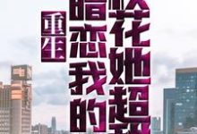 易枫顾沐希为主角的小说好看吗?免费读重生:暗恋我的校花她超甜-书格格