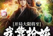 开局大限将至,我靠抢婚续命苏秦云鹤小说大结局免费试读-书格格
