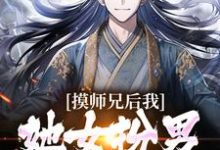 男女主人公苏牧小说摸师兄后,我发现她女扮男装的秘密章节免费阅读-书格格