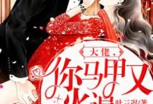 完结版《大佬,你马甲又火遍全球了》章节阅读-书格格